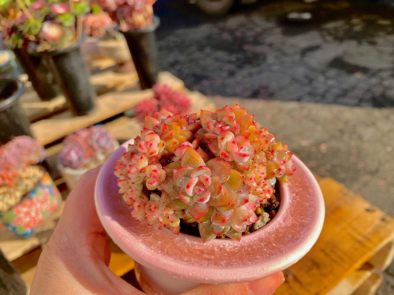 37774857-c4f7-4962-8c3d-174ea6728066