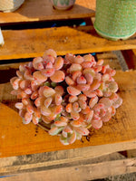 d9cd8307-0669-4056-a140-872ef398b7c7