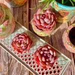 1e8a3abc-1af4-4337-9446-7140de8523d7