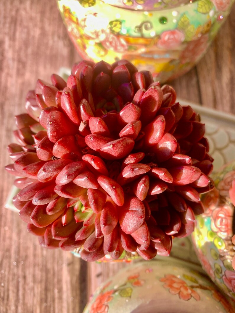 3b3b46bd-bb84-4898-ac38-3b7504c03bab