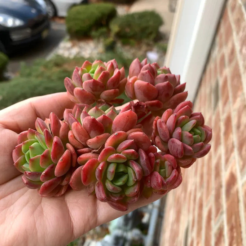 a040ff96-109e-4280-a82a-237c3ca98c91