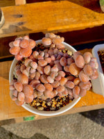 52ee83ed-adfc-48ba-9635-53f0bdf37927