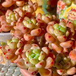 af3ebf7a-120a-4313-b5c3-0f0234cbc433