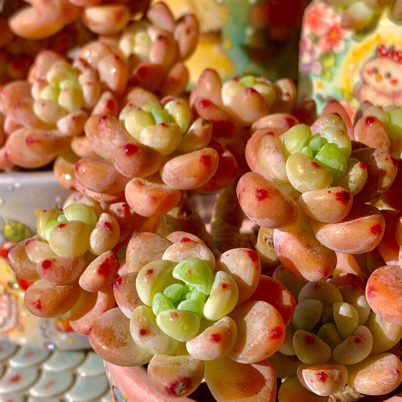 af3ebf7a-120a-4313-b5c3-0f0234cbc433