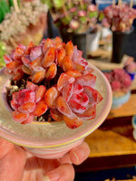 e88a3fc9-e710-4b76-af19-38ea2b95d012