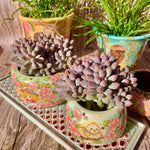 472a30bb-790d-416f-a1d7-a8aa436c4640