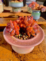 5c67ac08-f0c9-4a39-bdea-681276f5fba9