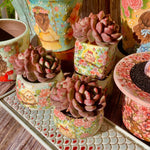 ca313e18-1236-40bf-b595-cd38a78f8cd4