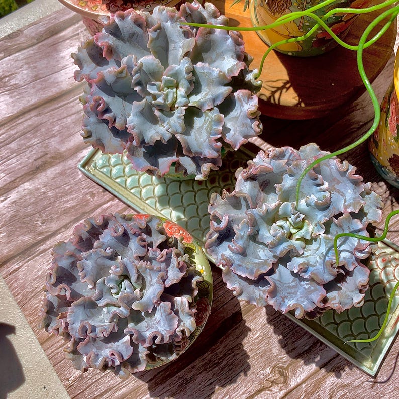 13281d53-9f7b-48f0-93d4-6eb7c9e775b1