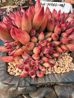 35736cfd-ceb5-4049-ab3f-cbec0f01a0c6