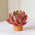 4a7a5d0c-5504-454b-b64c-cbff70027483