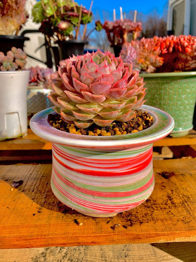 37582ec6-061d-4095-9250-b1c9f14ae258