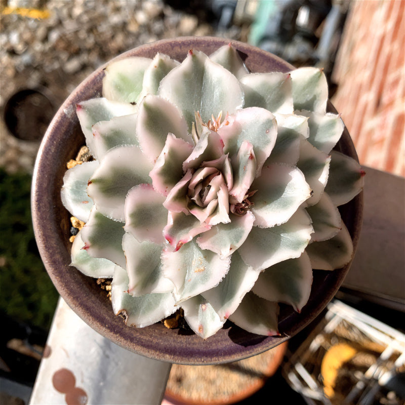 e901814e-a1e5-4deb-b3a9-cc13fc4abb48