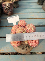 2ba1cd43-433e-4e50-8ba4-1b1137082370