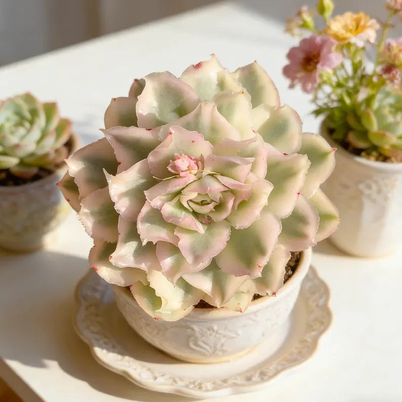 f317560b-c6ac-4486-aa23-9229ca4fe0fe