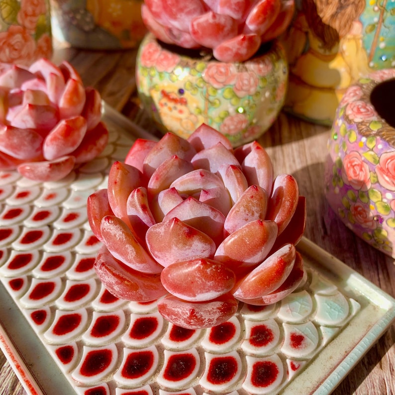 1b3b6d26-134e-471e-b48c-14fef5031522