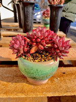 32704eab-0f92-4840-b6e8-e7089e63b184