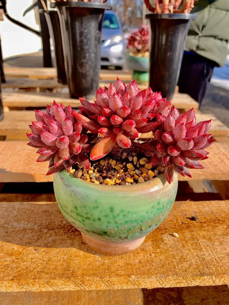 32704eab-0f92-4840-b6e8-e7089e63b184