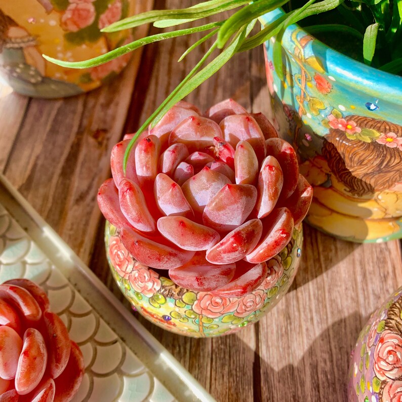 bacba5e3-0997-4668-97a7-f09d4a0fd666