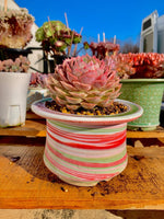 3d23ffe3-6aab-4b9b-92db-097a83b19726