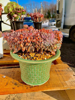 959234b1-cb8a-4d1f-aa20-a9e3b1527878