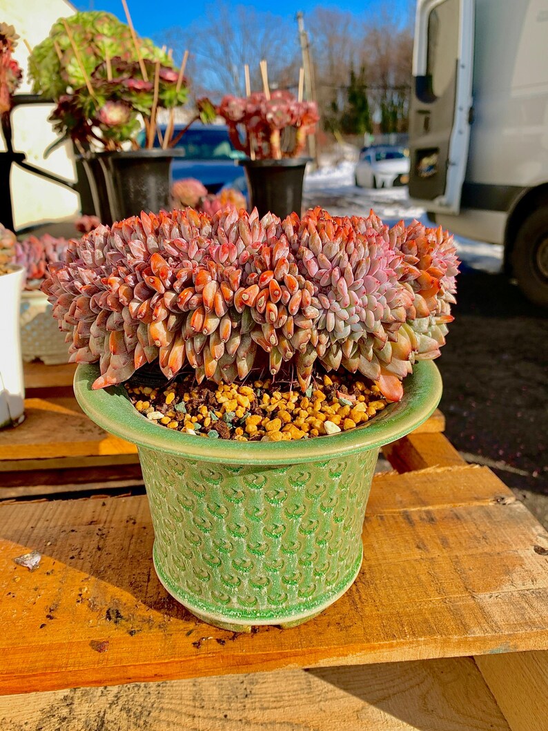 959234b1-cb8a-4d1f-aa20-a9e3b1527878