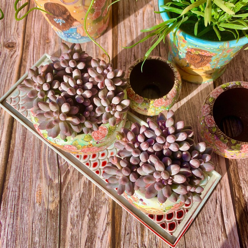 848d771f-1643-457f-b16f-4ea903c76a93