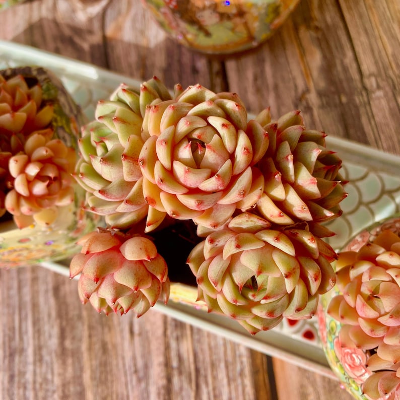 f741244b-90b8-462b-91c3-9a89e61cac68