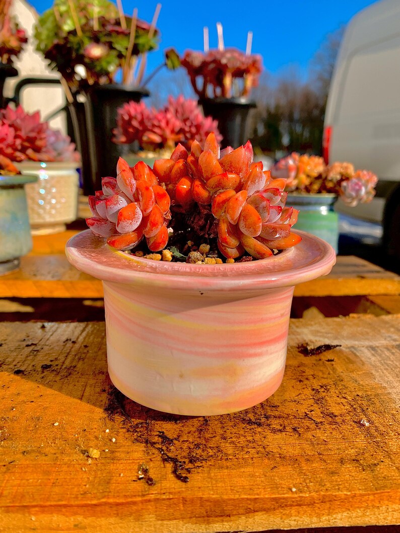 2e71d3a0-dda3-4087-a361-e11f737c97ee