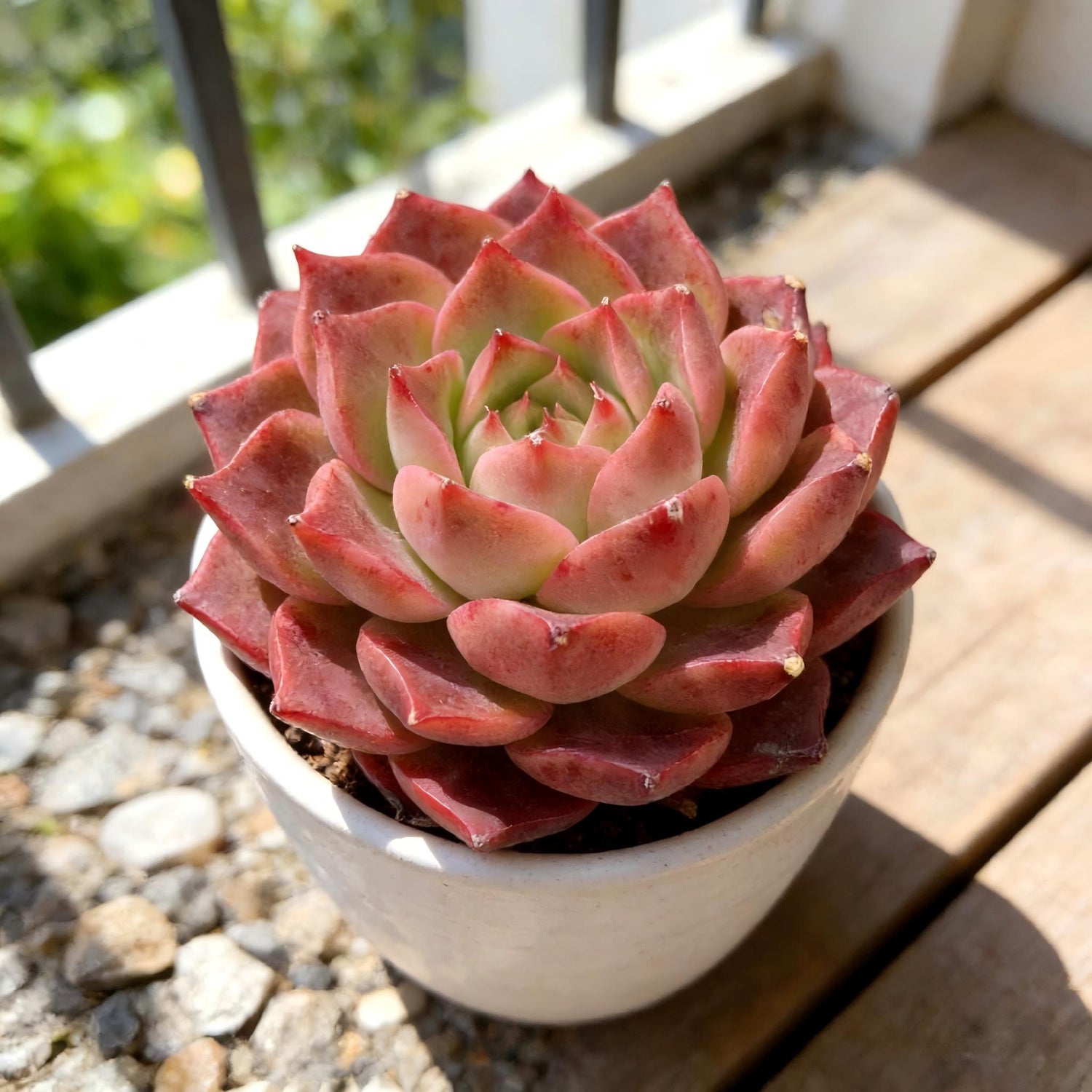 8636e195-0fff-4810-8fca-e02908b4f83b