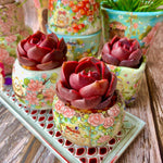 42a2aec8-91d4-4fe1-8f9b-6aaf9b0a6008