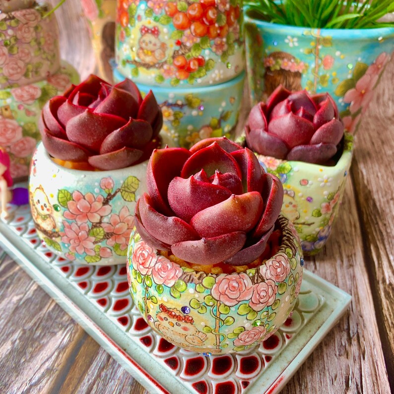 42a2aec8-91d4-4fe1-8f9b-6aaf9b0a6008