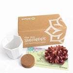 2e179dd0-1855-4255-9f69-cc1be1e947cf