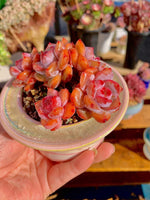 9bc9872b-b7b9-418b-b02b-29fcebe9bb41