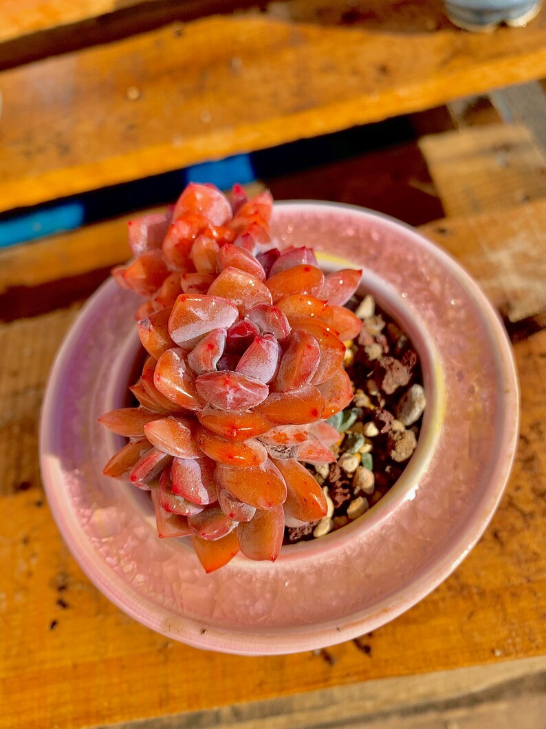 67e237f9-96a7-4005-b120-897a70f0b349