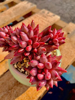 4adb95a0-116e-4f7d-bdeb-45c351c5bcb5