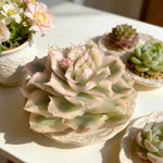 686943d2-6732-4ab4-9ae9-526b43f33ac8