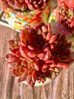 6814acaf-faea-4fd5-9c9f-7e3f7616296a