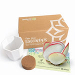 bc274641-7734-4c0e-9339-10713002fd7b