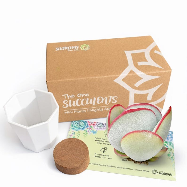 bc274641-7734-4c0e-9339-10713002fd7b