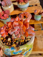 8845ba3e-f963-45a1-836e-25da20e841df