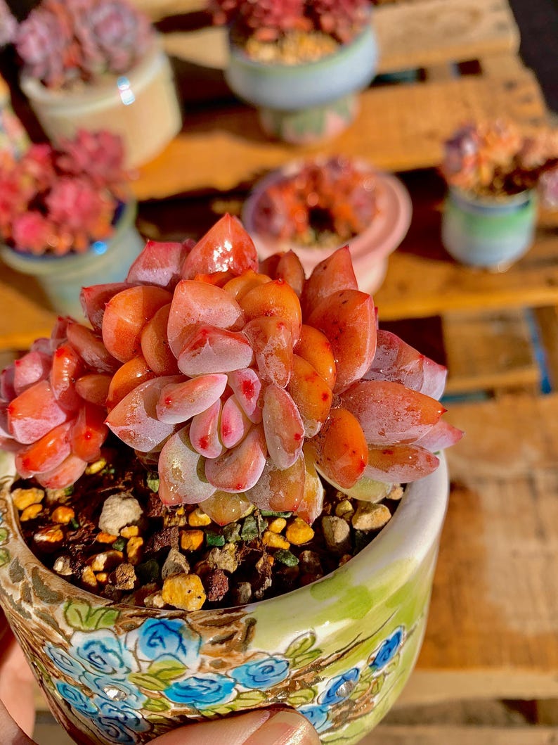 8845ba3e-f963-45a1-836e-25da20e841df