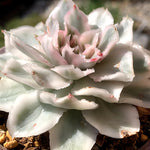 752bd377-73a5-4b17-873d-b9acf7e83064