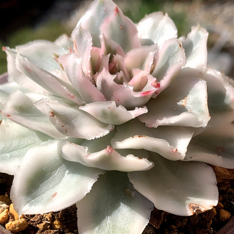 752bd377-73a5-4b17-873d-b9acf7e83064