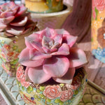 6d9c6646-0a7f-4d80-ba87-dc698edc1f4c