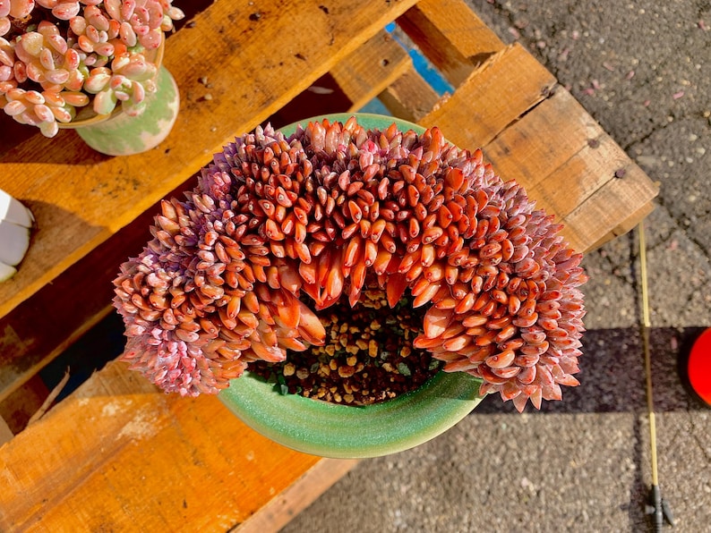 056051ce-bef1-47b4-89aa-a53c507a4bf9