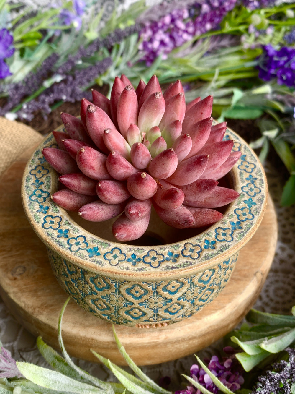 Pot Rim Dates WS0036 Rustic Handmade Clay Planter Pot - Pot rim diameter: 2.9