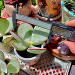 6980debf-ada5-4ba7-9b01-e1dbcdf30b7e