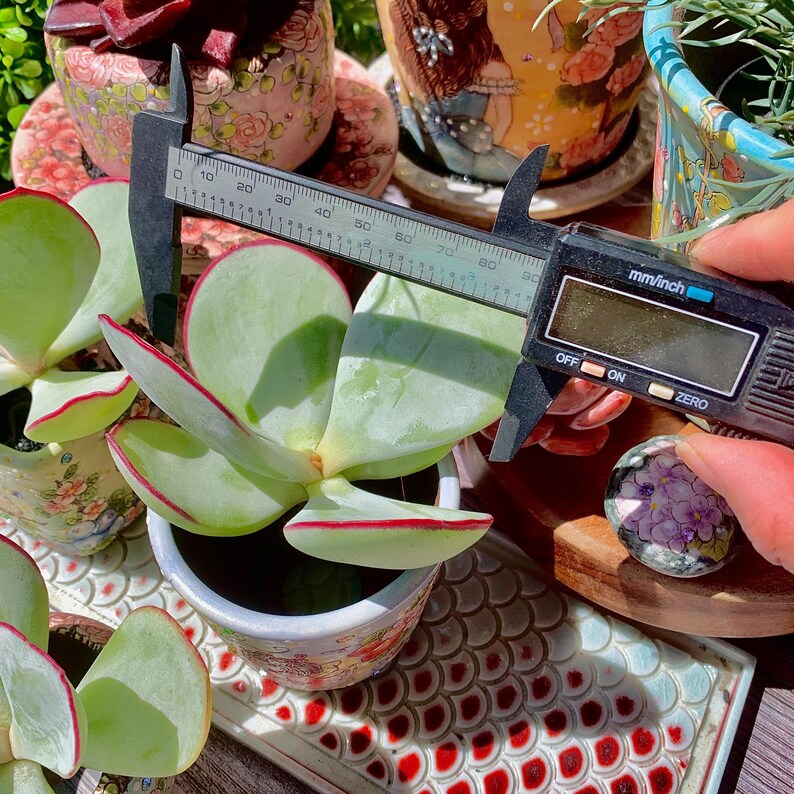 6980debf-ada5-4ba7-9b01-e1dbcdf30b7e