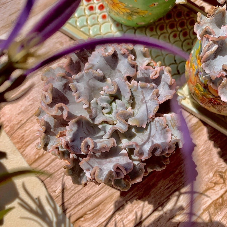 d5fe22a7-5fa4-4264-8043-7772da2b0819